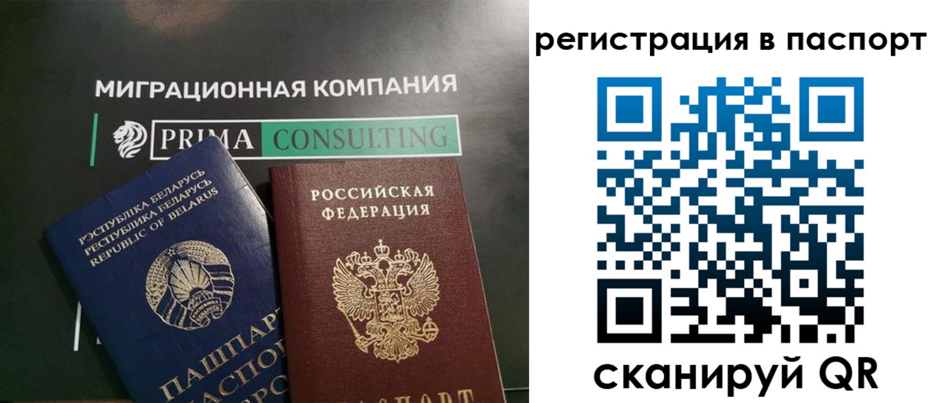 прописка для школы в Курской области